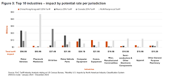 otal Potential Impact of Tariffs and Trade Data on India