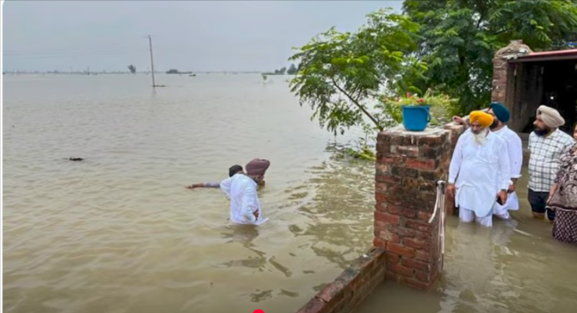 पंजाब बाढ़, बॉलीवुड सेलिब्रिटी, शाहरुख खान, आलिया भट्ट, बाढ़ राहत, सेलेब्स मैसेज, पंजाब आपदा